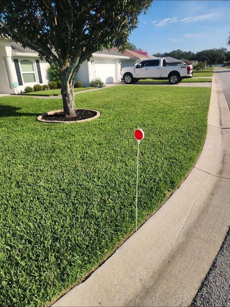 Corner lot after treatment with even green turf to the curb
