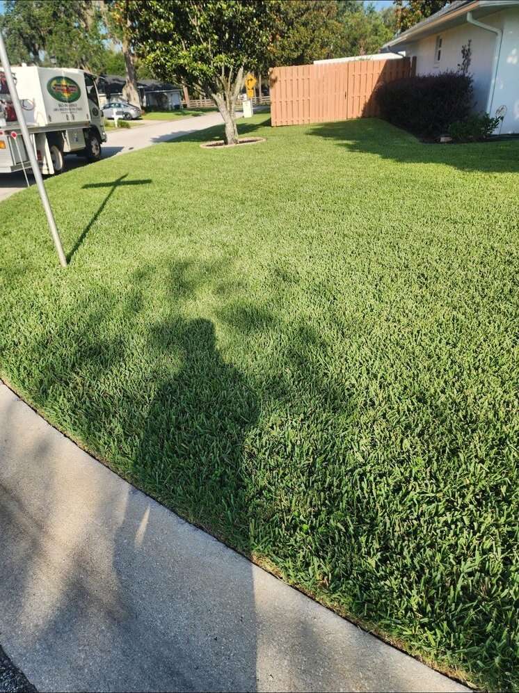 Side yard after treatment