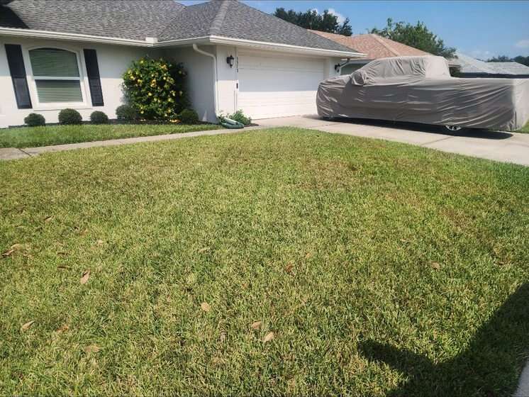Front lawn and driveway before treatment