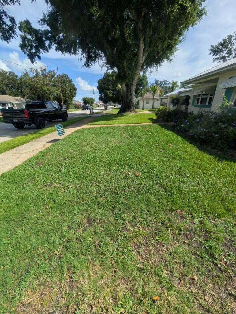 Lawn beside a paver walkway after treatment