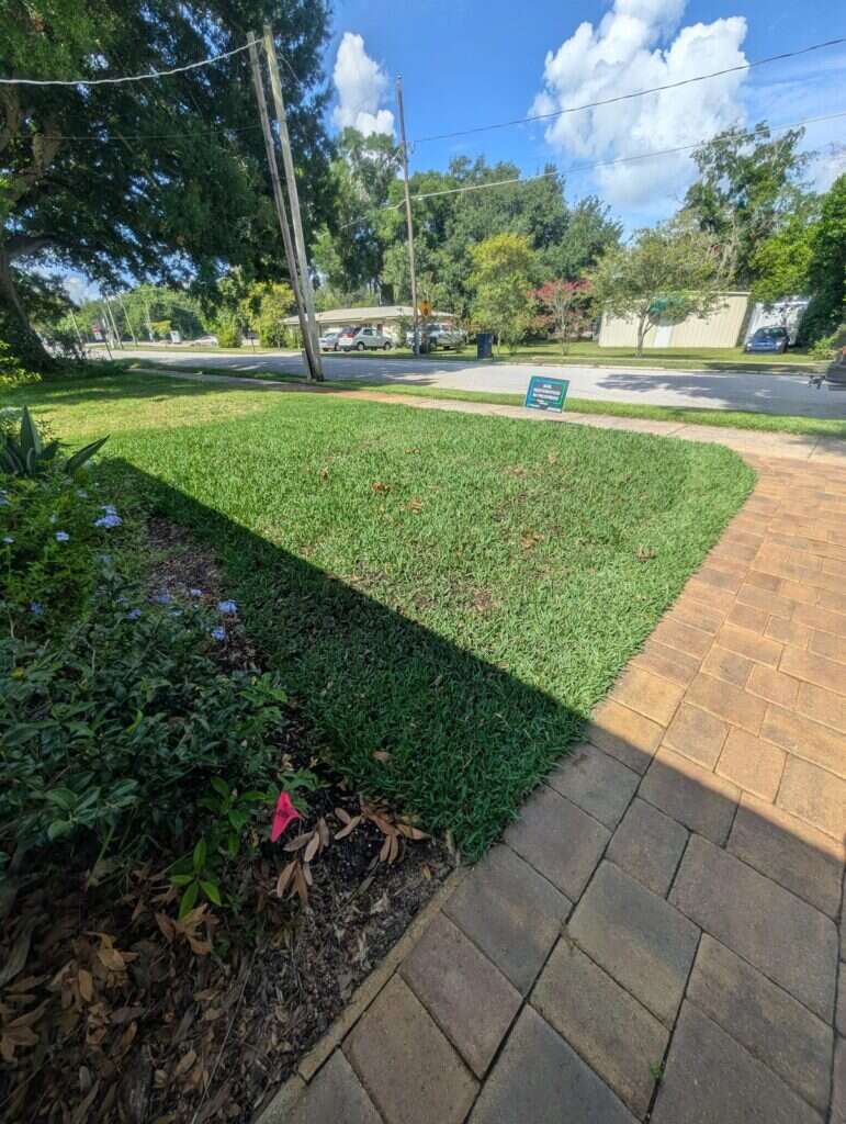Green lawn beside a paver walkway after treatment