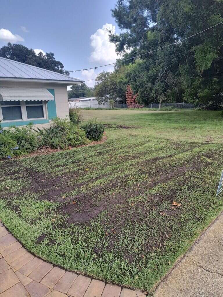 COMAND compost applied in even rows across a lawn before it is brushed in